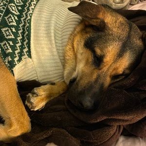 Meet your Posher, Brenda